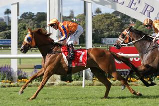 Derby glory for Gingernuts. Photo: Trish Dunell